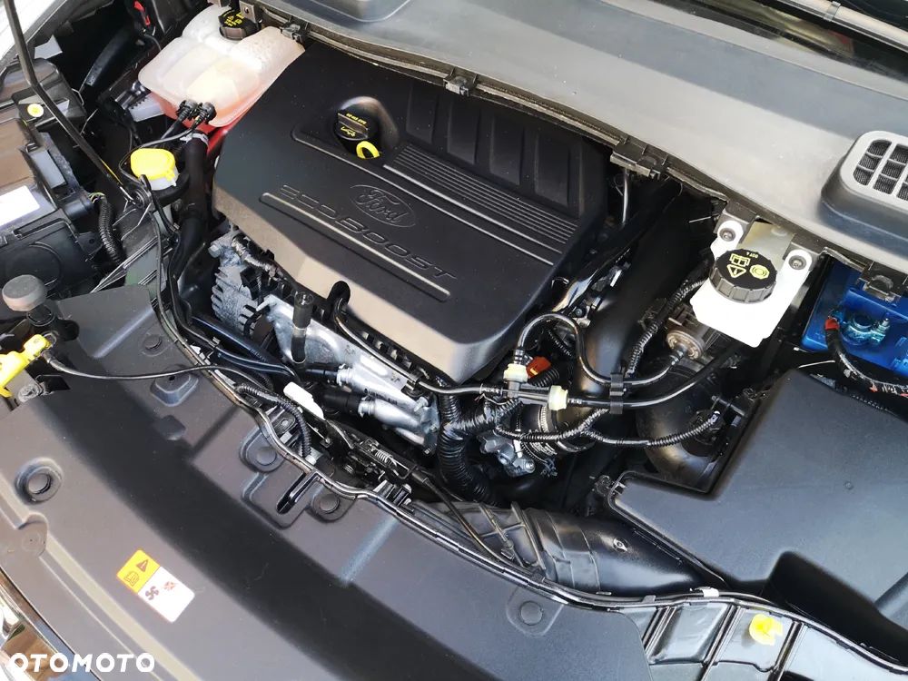 Ford Kuga 1.5 EcoBoost 2x4 Trend - 26