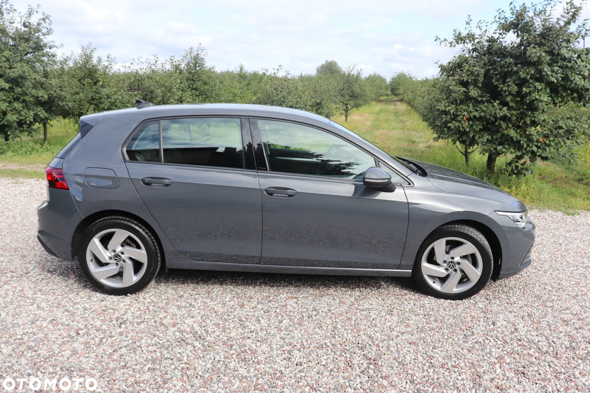 Volkswagen Golf VIII 2.0 TDI Life Plus - 22