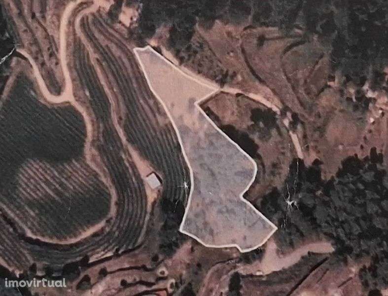 Terreno 4.100 m² com pequena habitação – Avessadas (Com Boa Vista) - Grande imagem: 5/5