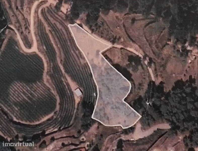 Terreno 4.100 m² com pequena habitação – Avessadas (Com Boa Vista) - Grande imagem: 5/5