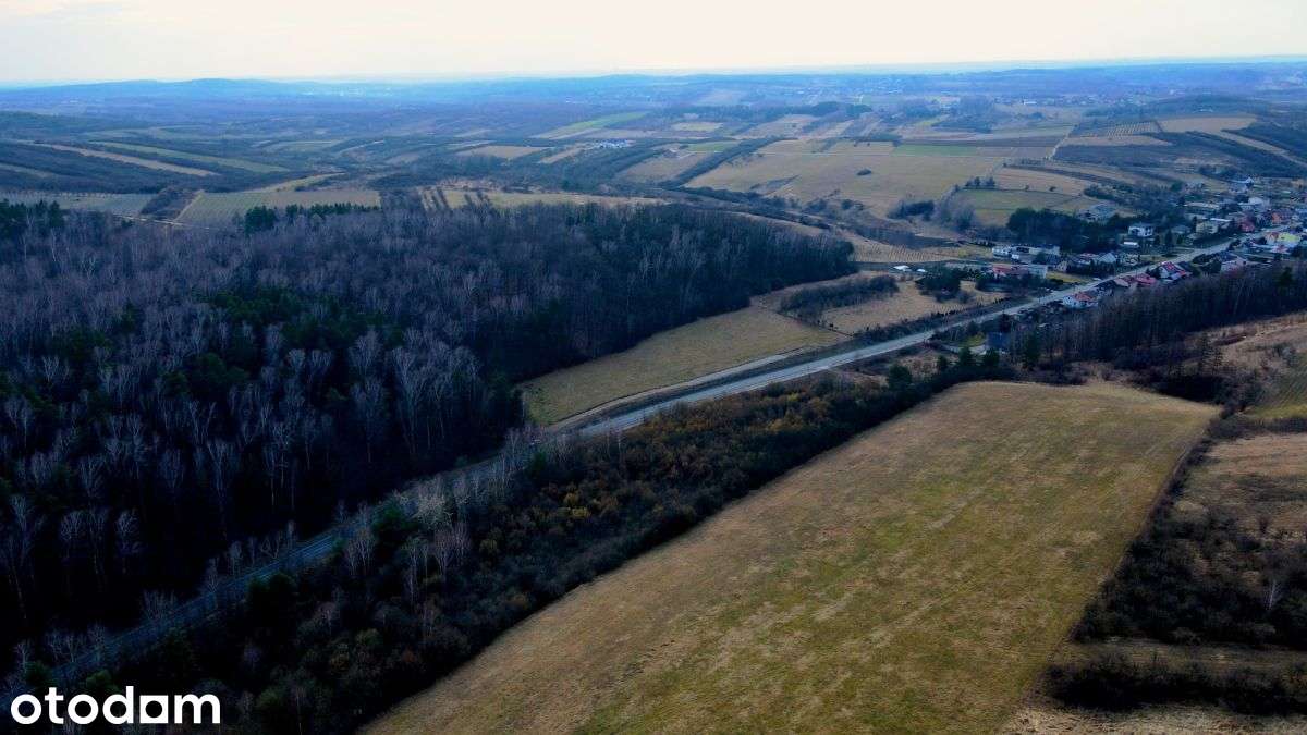 Działka widokowa przy lesie – Mstów, 1123 m2 - Pełny obrazek: 5/7