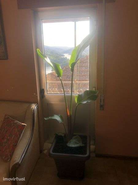 Andar de moradia em Resende (Loureiro) - Grande imagem: 5/12