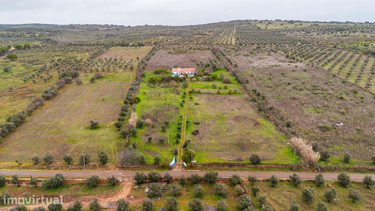 Herdade Proximo a Elvas - Grande imagem: 2/46