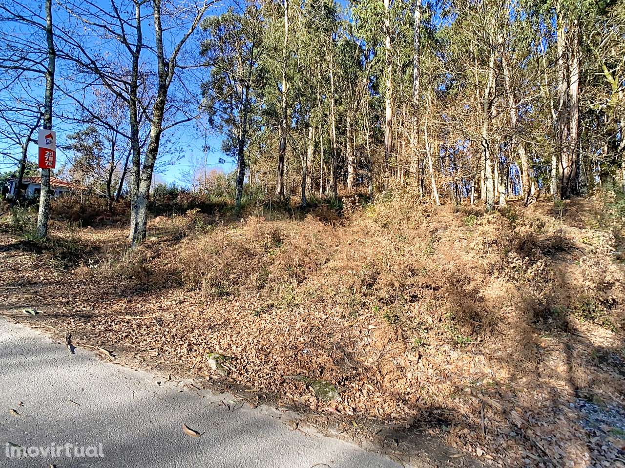 Terreno em Moreira do Rei - Grande imagem: 4/8