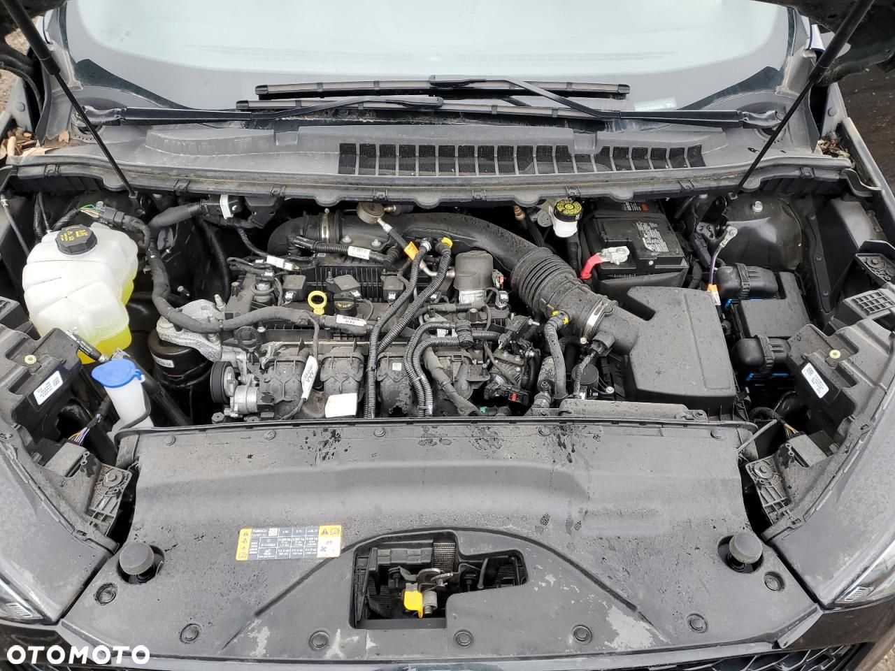 Ford Edge - 11