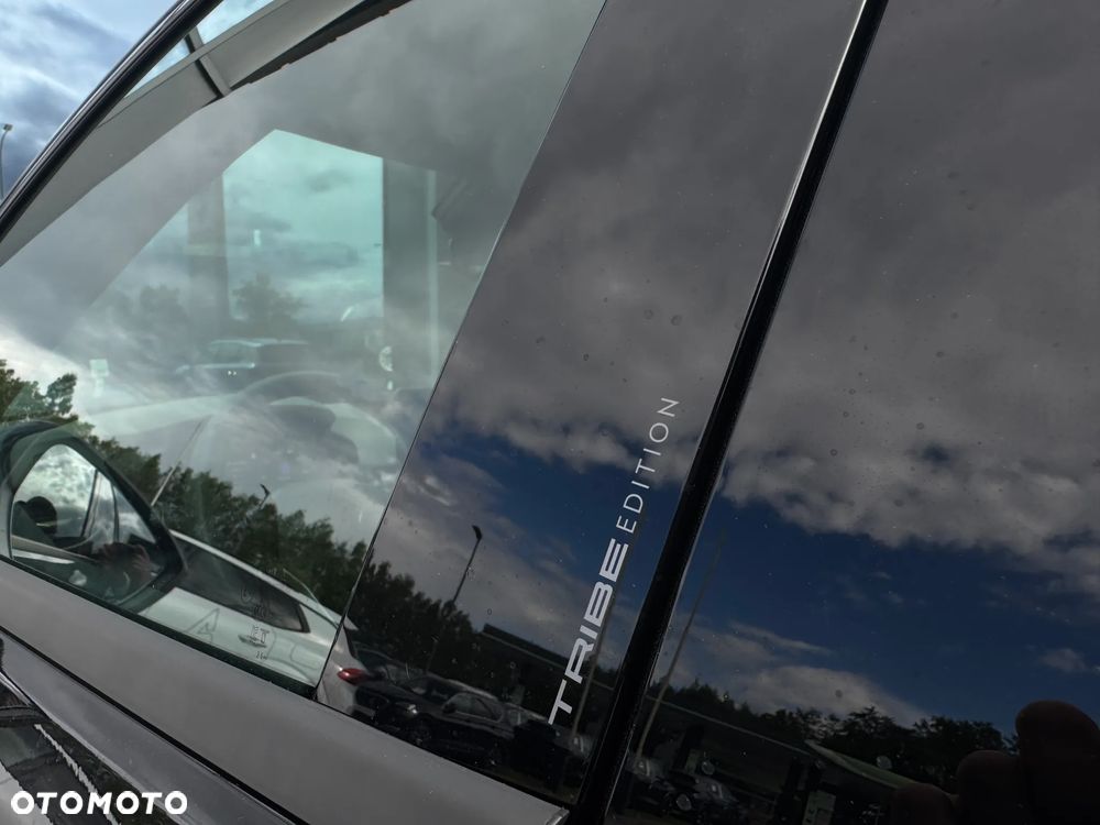 Cupra Terramar 2.0 TSI 4Drive Tribe Edition DSG - 12