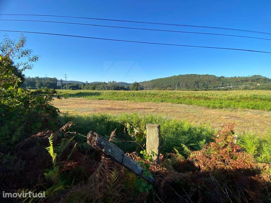 Terreno plano em Ferreira - Grande imagem: 2/9