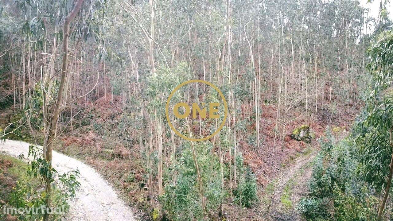 Terreno Rústico - São Mamede de Este, Braga - Grande imagem: 4/4