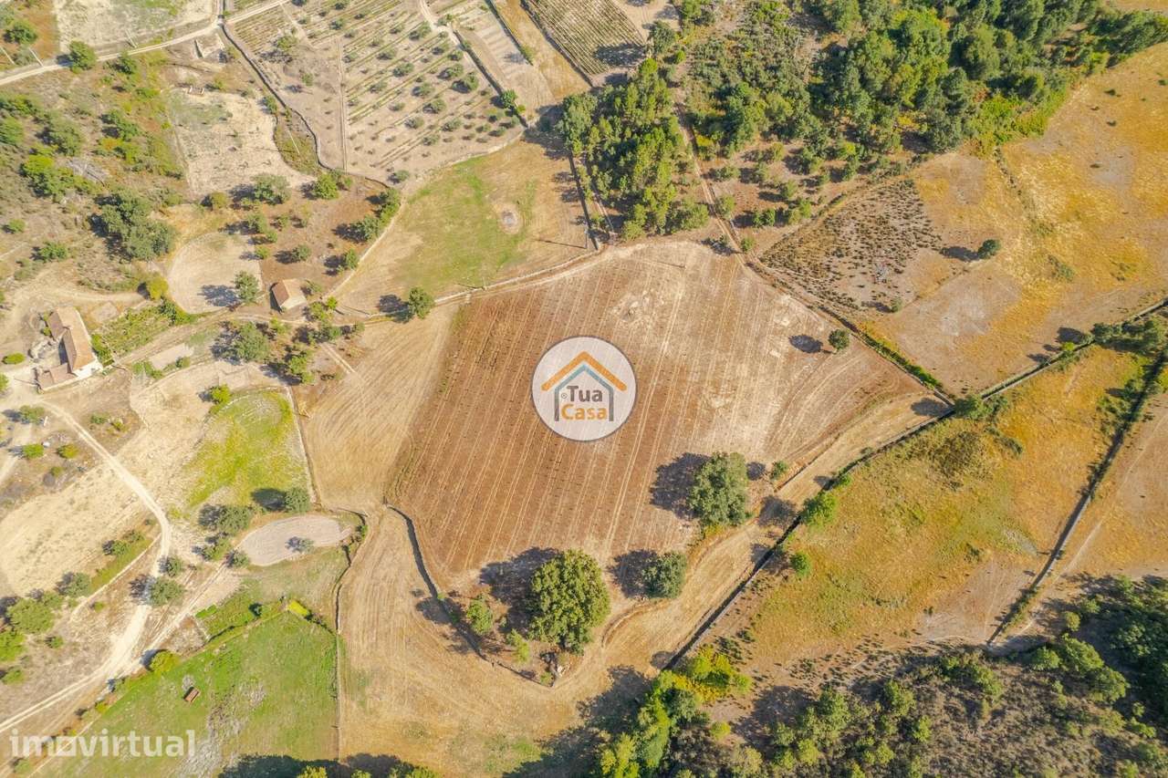 Terreno Rústico com 5 Hectares, em Sernancelhe - Grande imagem: 4/19