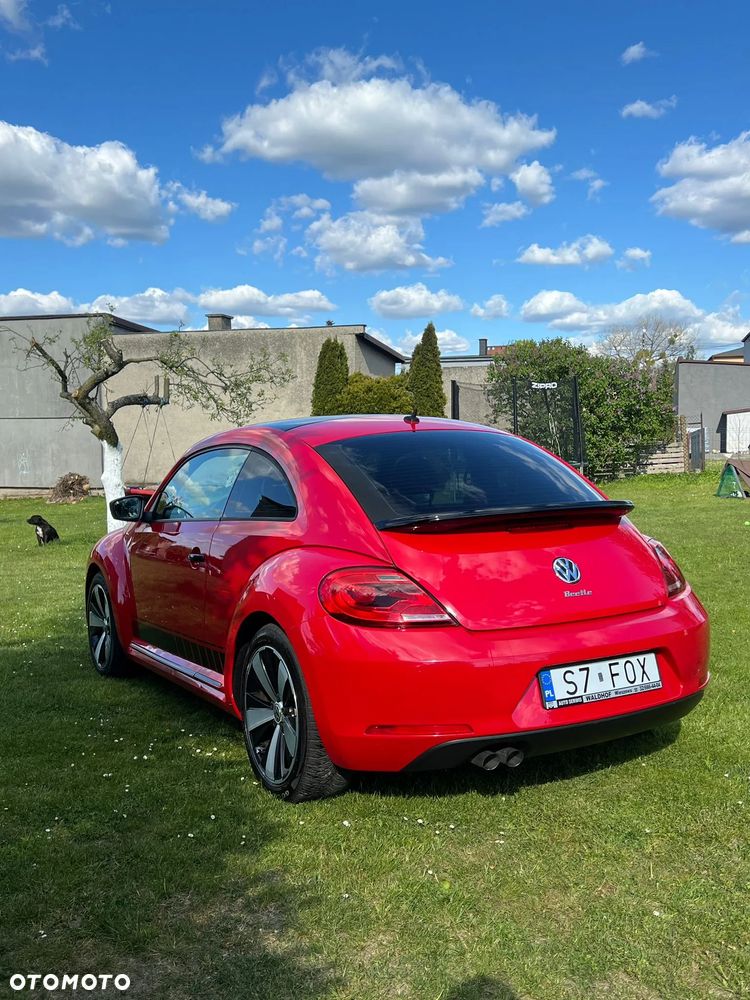 Volkswagen Beetle - 9