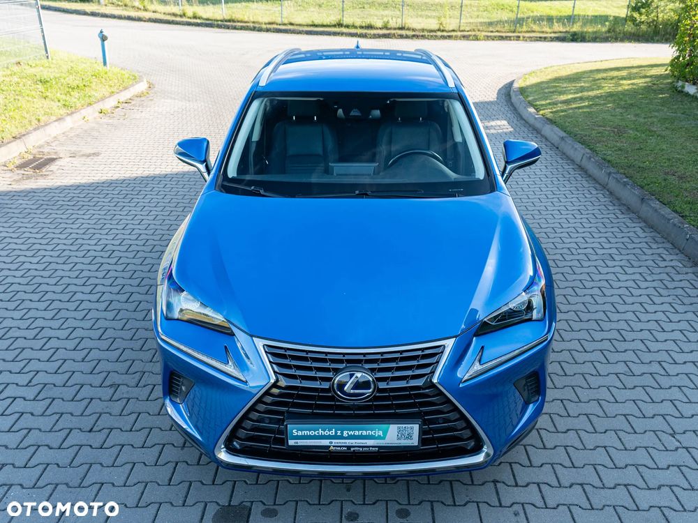Lexus NX 300h Comfort AWD - 8