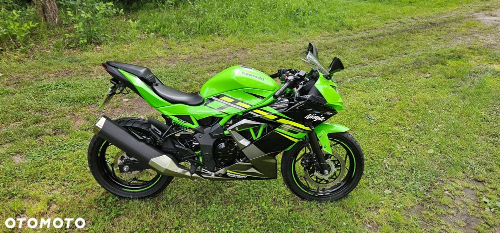Kawasaki Ninja - 8