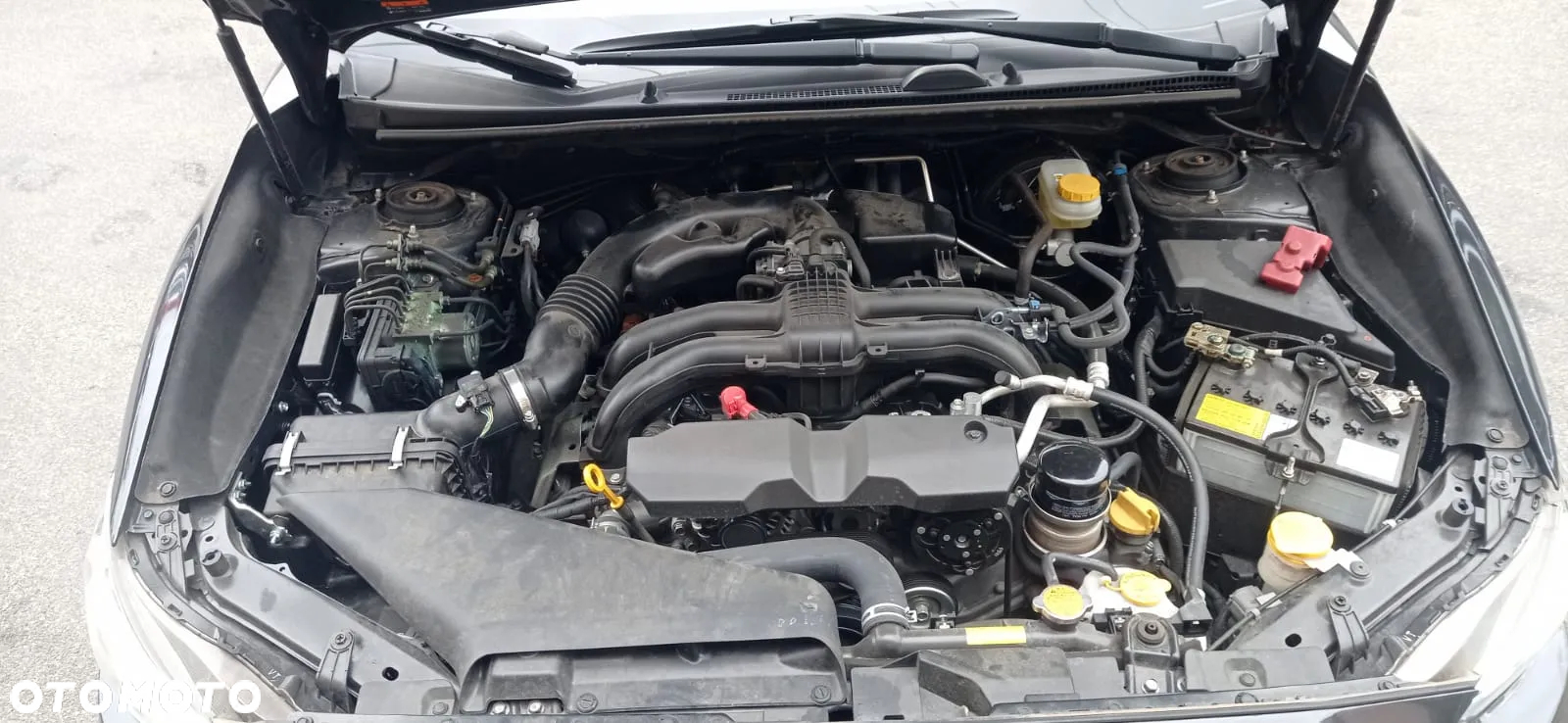 Subaru Levorg - 21