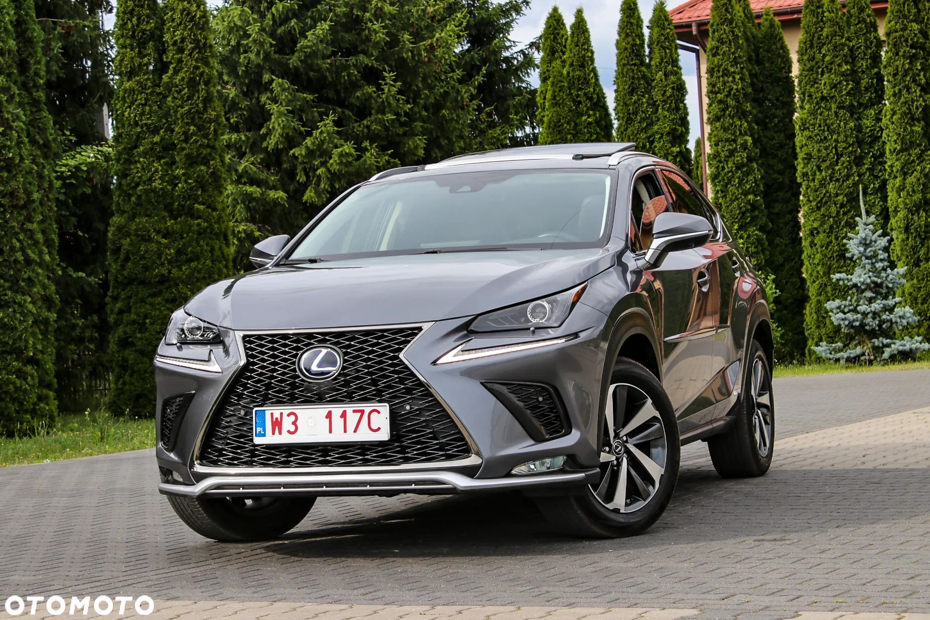 Lexus NX 350h Prestige AWD - 1