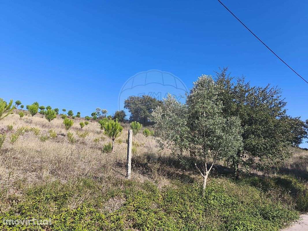 Terreno  para venda - Grande imagem: 4/4