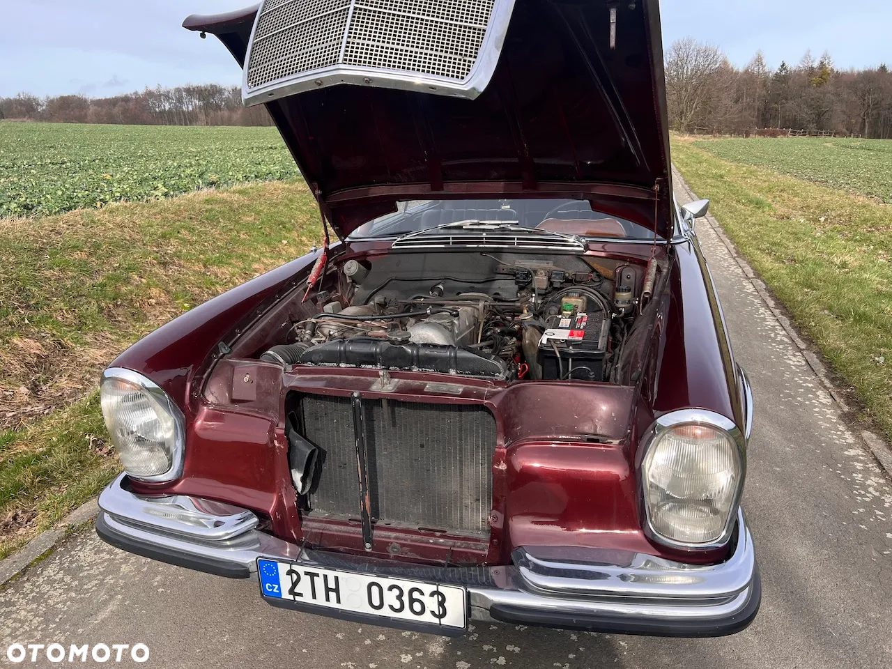 Mercedes-Benz Inny - 8