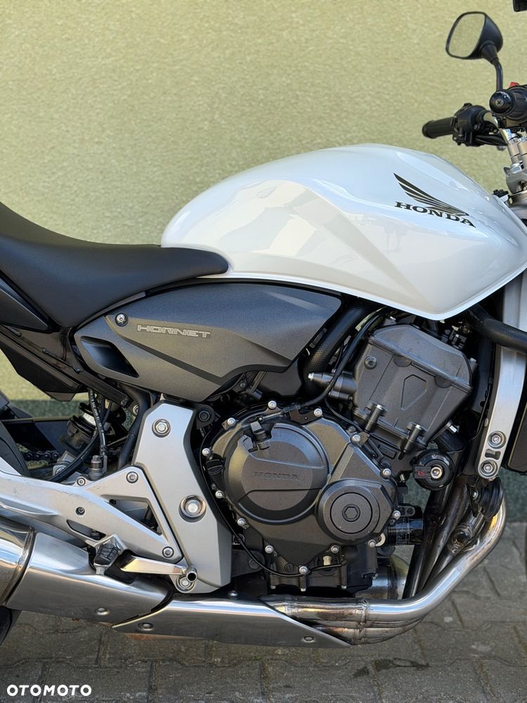 Honda Hornet - 8