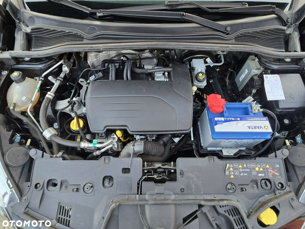 Renault Clio - 33