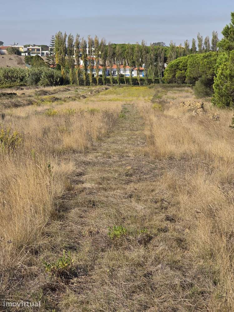 TERRENO RUSTICO ALFAQUIQUES - Grande imagem: 4/6