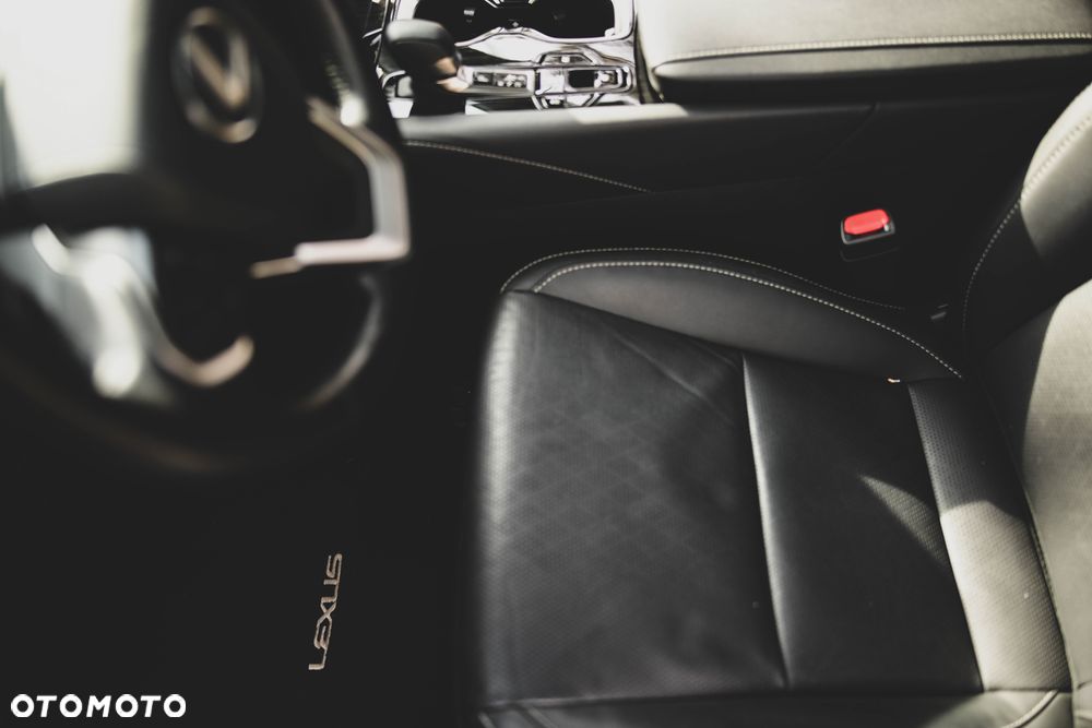 Lexus RX - 16