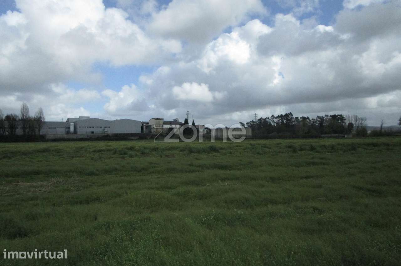 Terreno rústico com 2.700 M2 a 100m do rio ave, em Fradelos - Grande imagem: 3/15