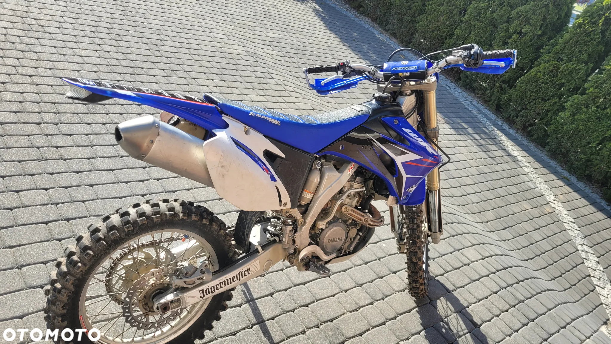Yamaha WR