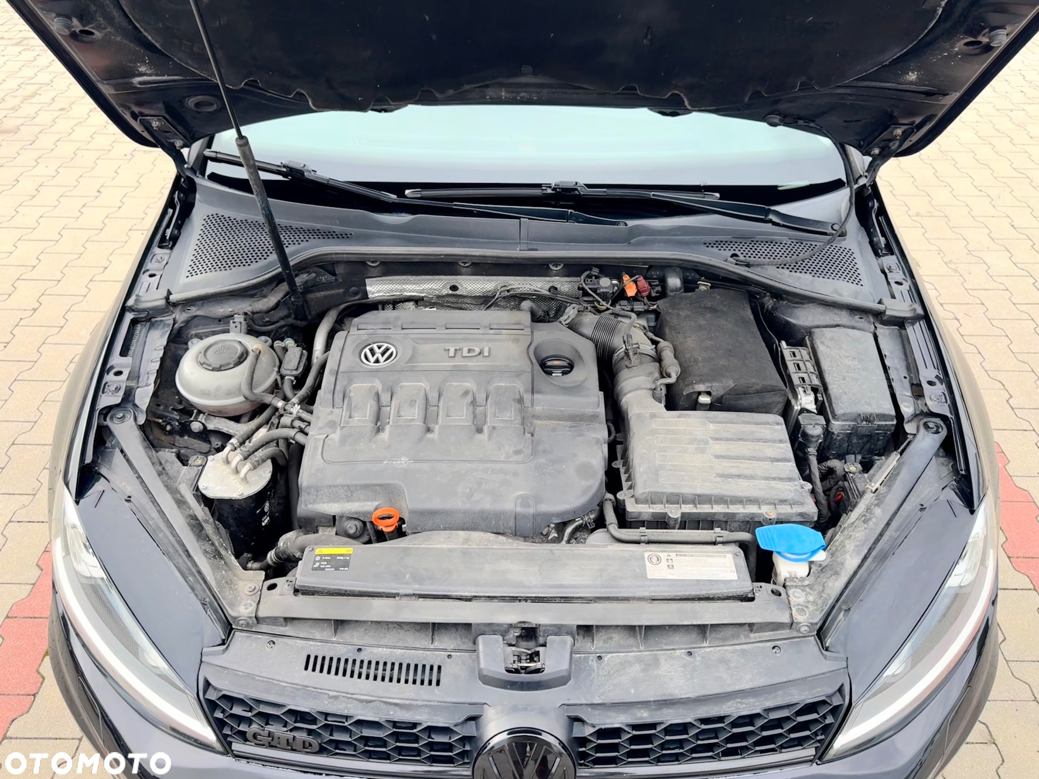 Volkswagen Golf - 17