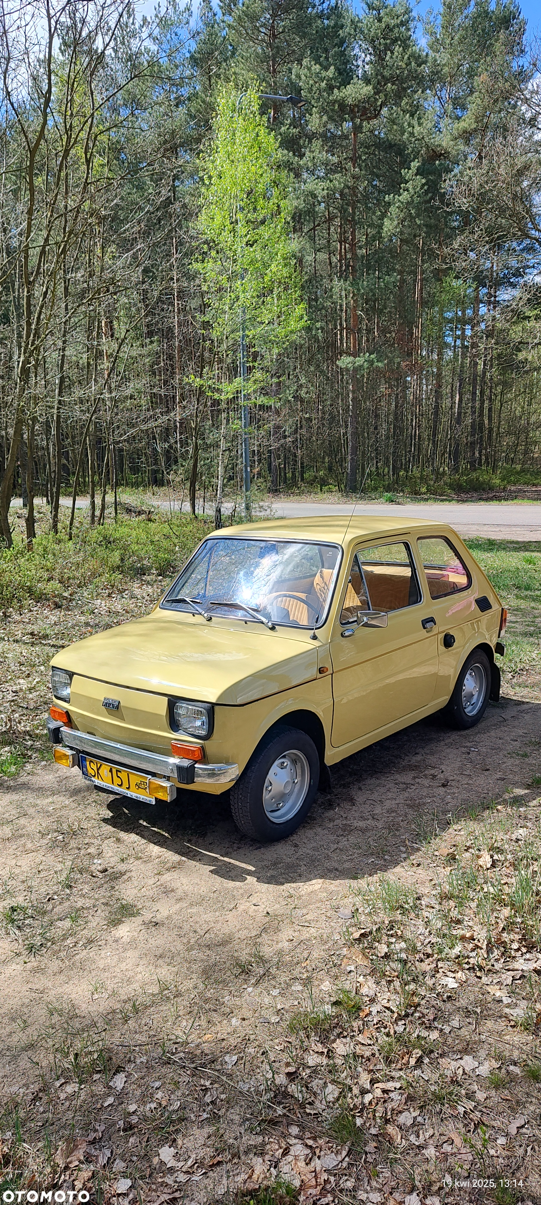 Fiat 126 - 12