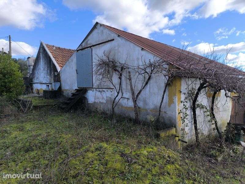 Casa de campo. Sabacheira - Tomar - Grande imagem: 2/6