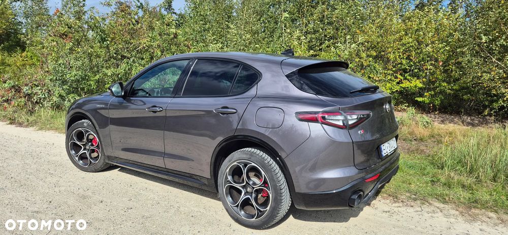 Alfa Romeo Stelvio 2.0 Turbo Veloce Q4 - 14
