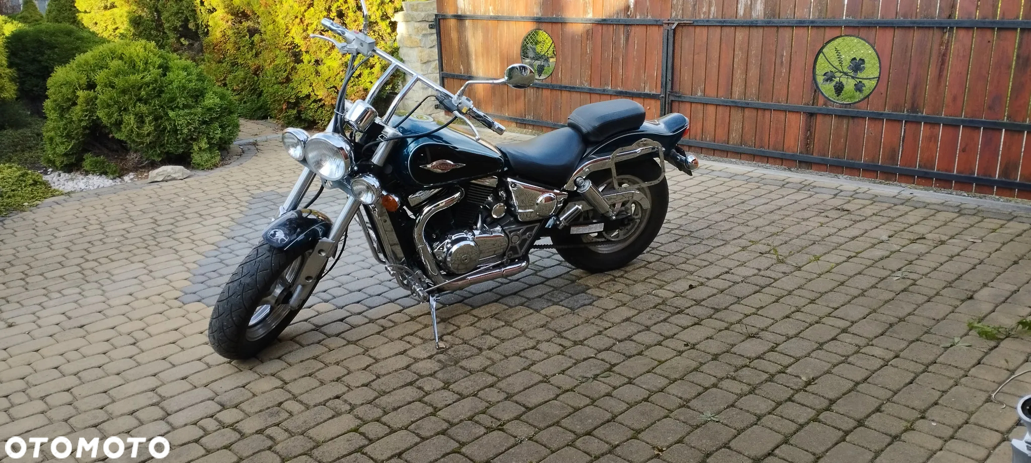 Suzuki VZ - 10