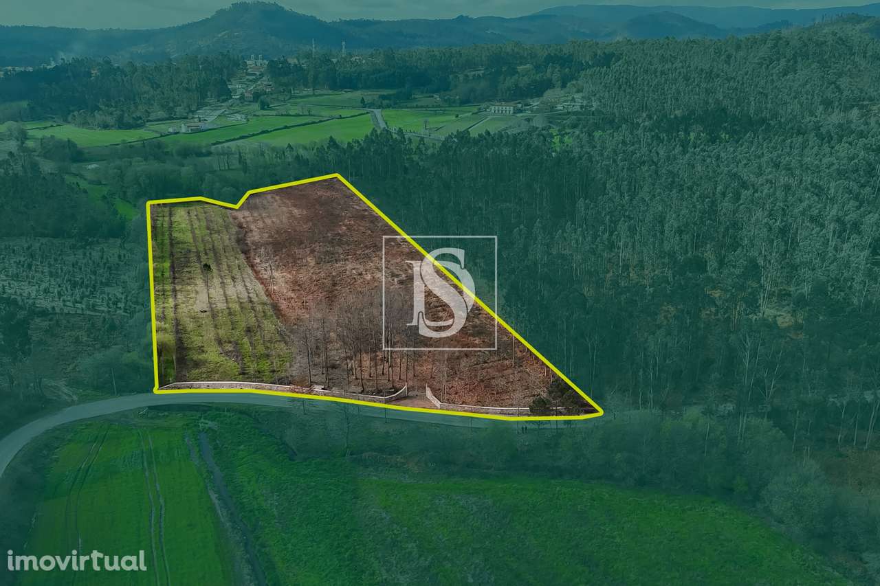 Terreno Rústico  Venda em Associação de freguesias do Vale do Neiva,Po - Grande imagem: 2/30