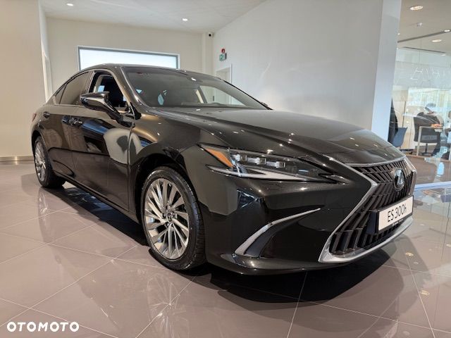 Lexus ES 300h Omotenashi - 2
