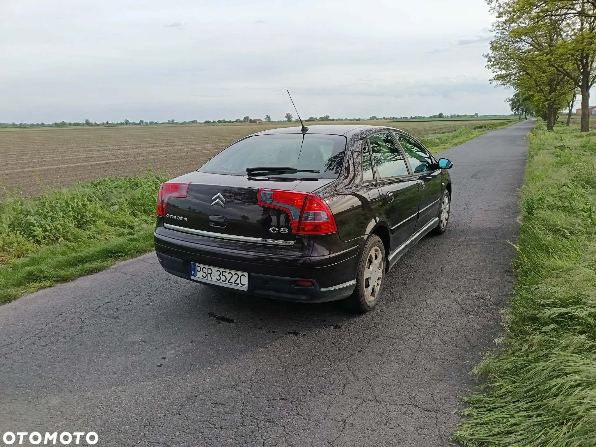 Citroën C5 II 1.8i 16V SX - 6