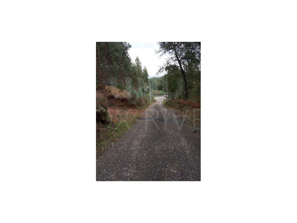 Terreno localizado na freguesia de Bela, no concelho de Monção. - Grande imagem: 2/8