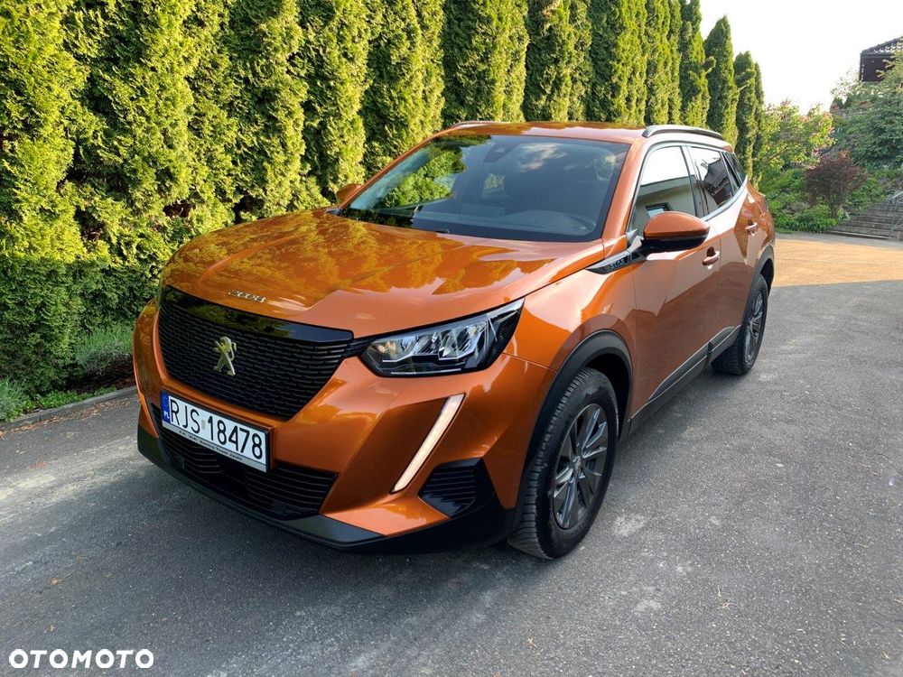 Peugeot 2008 - 20
