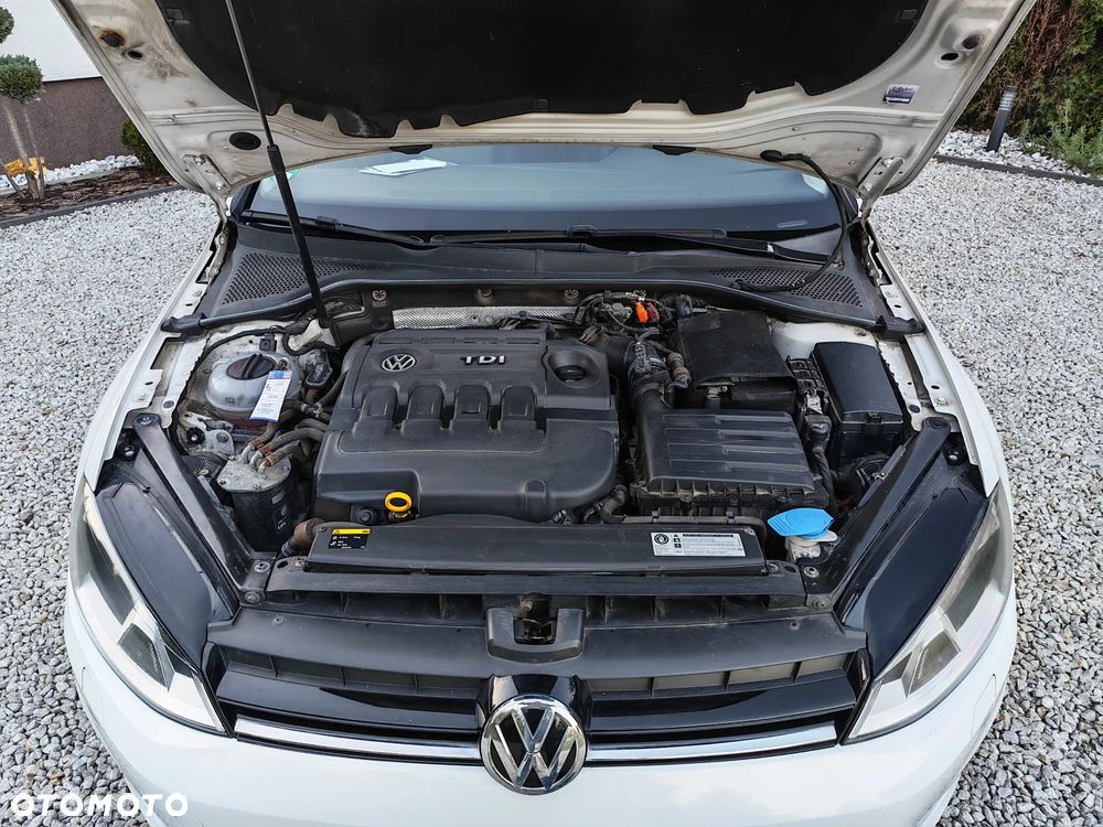 Volkswagen Golf 1.6 TDI BlueMotion Technology Lounge - 18