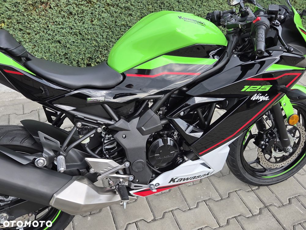 Kawasaki Ninja - 18