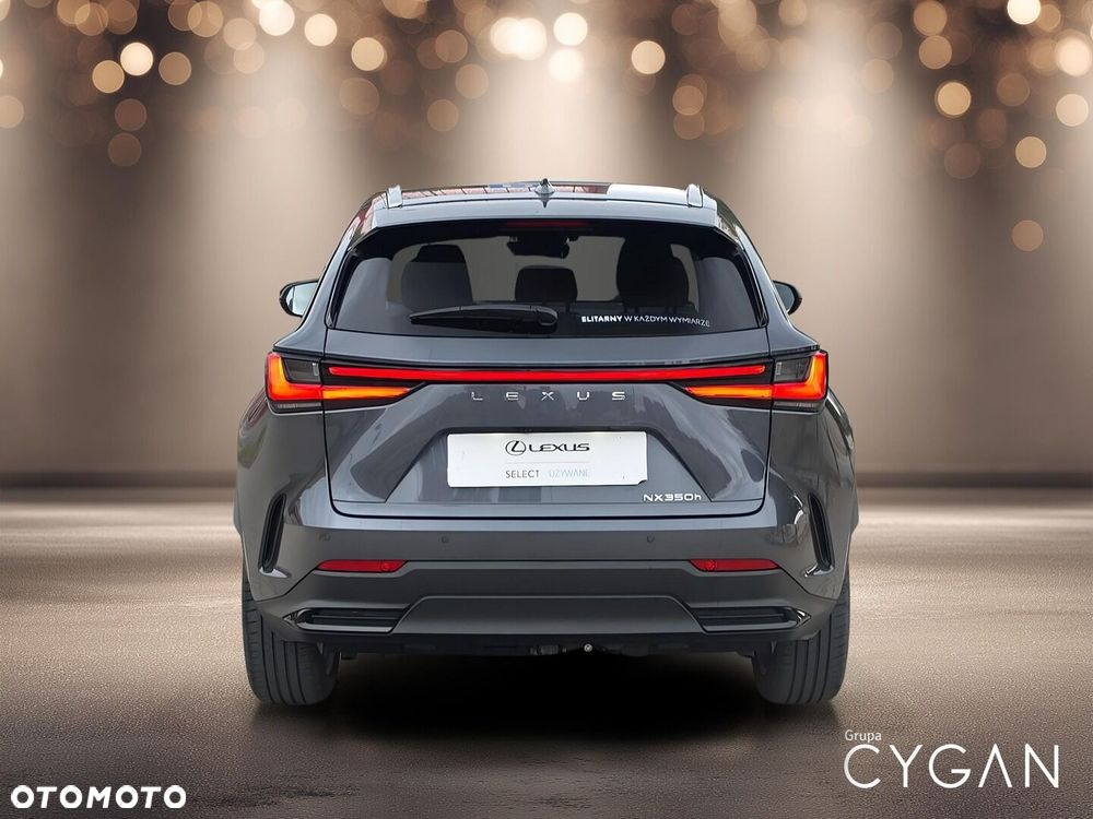 Lexus NX - 6