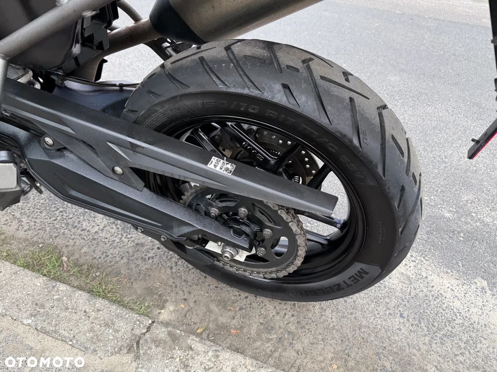 Triumph Tiger - 19