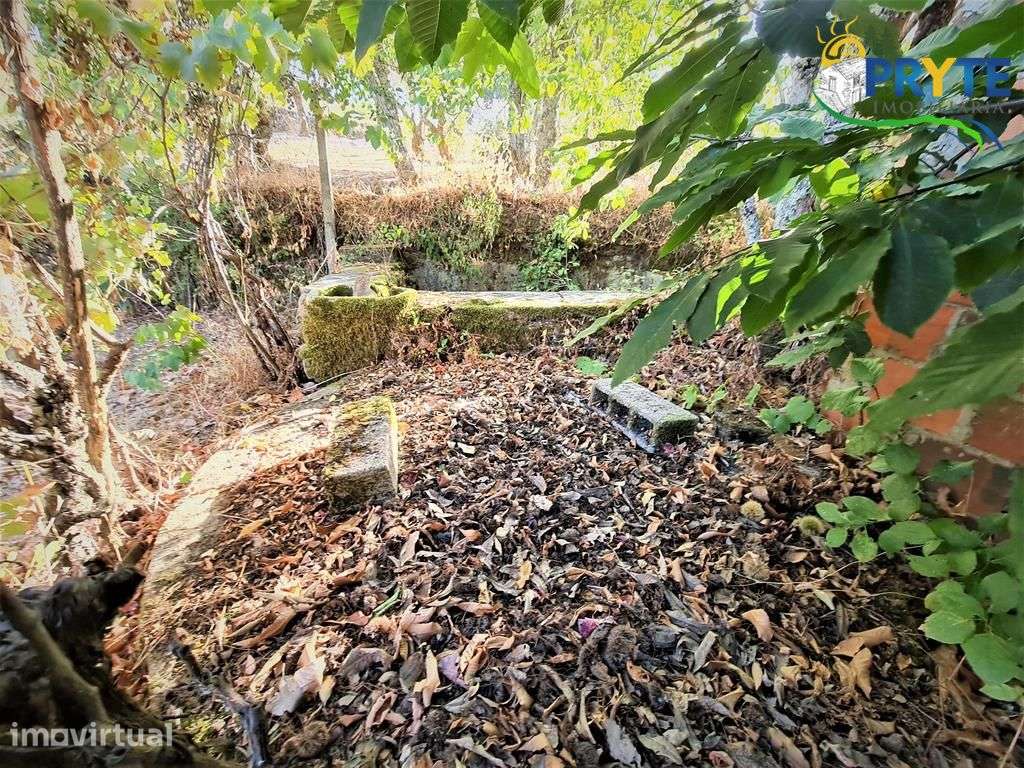 Quintinha de 3350 metros quadrados situada perto da Vila da Sertã - Grande imagem: 2/31