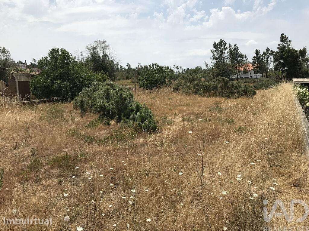 Terreno para construção em Freixianda, Ribeira do Fárrio e Formigais - Grande imagem: 2/30