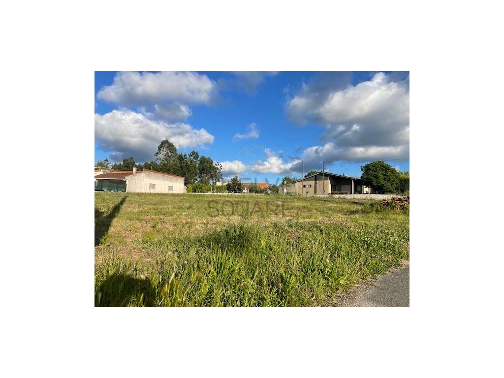 Terreno rústico em Leiria para construção, com excelente exposição ... - Grande imagem: 2/3