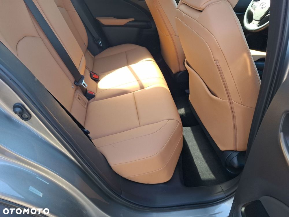 Lexus UX 200 GPF F Sport Design+ 2WD - 20