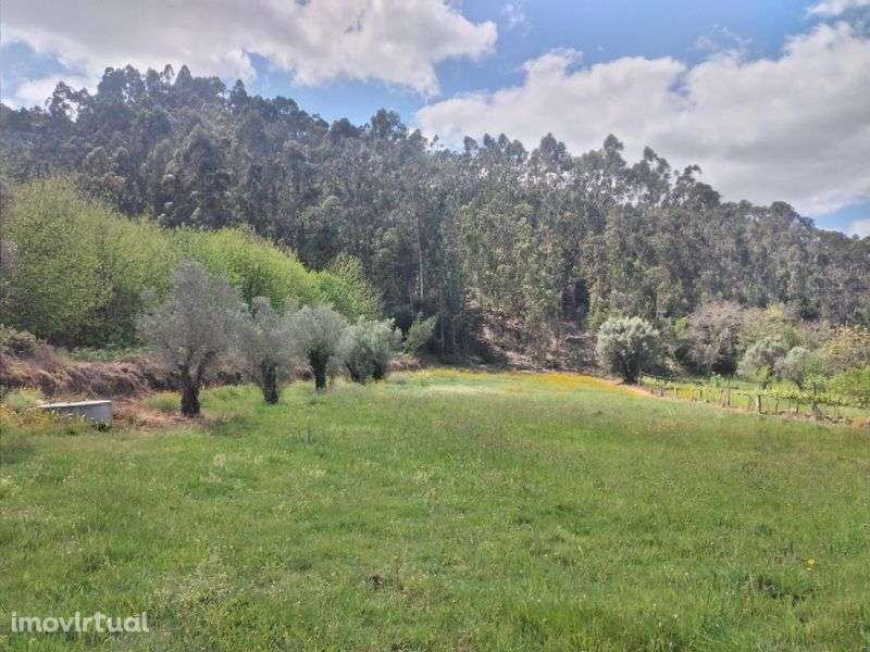 Vende-se terreno - Grande imagem: 5/5