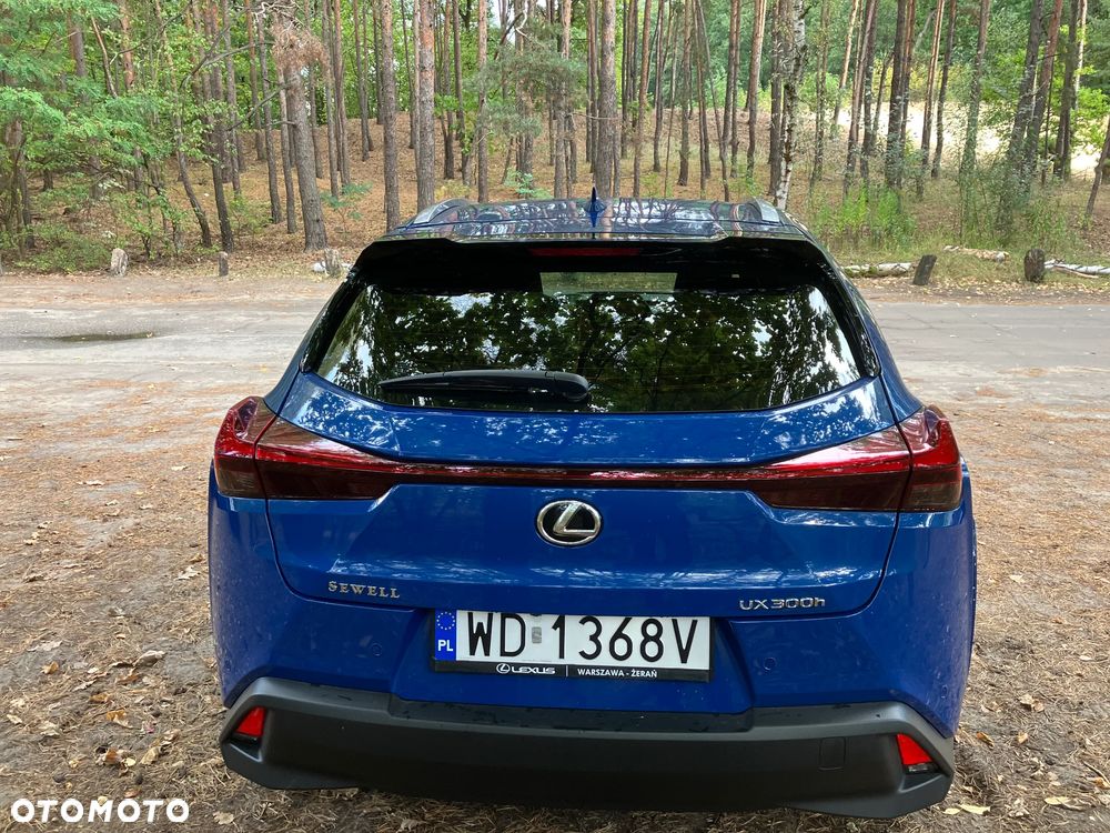 Lexus UX 300h - 6