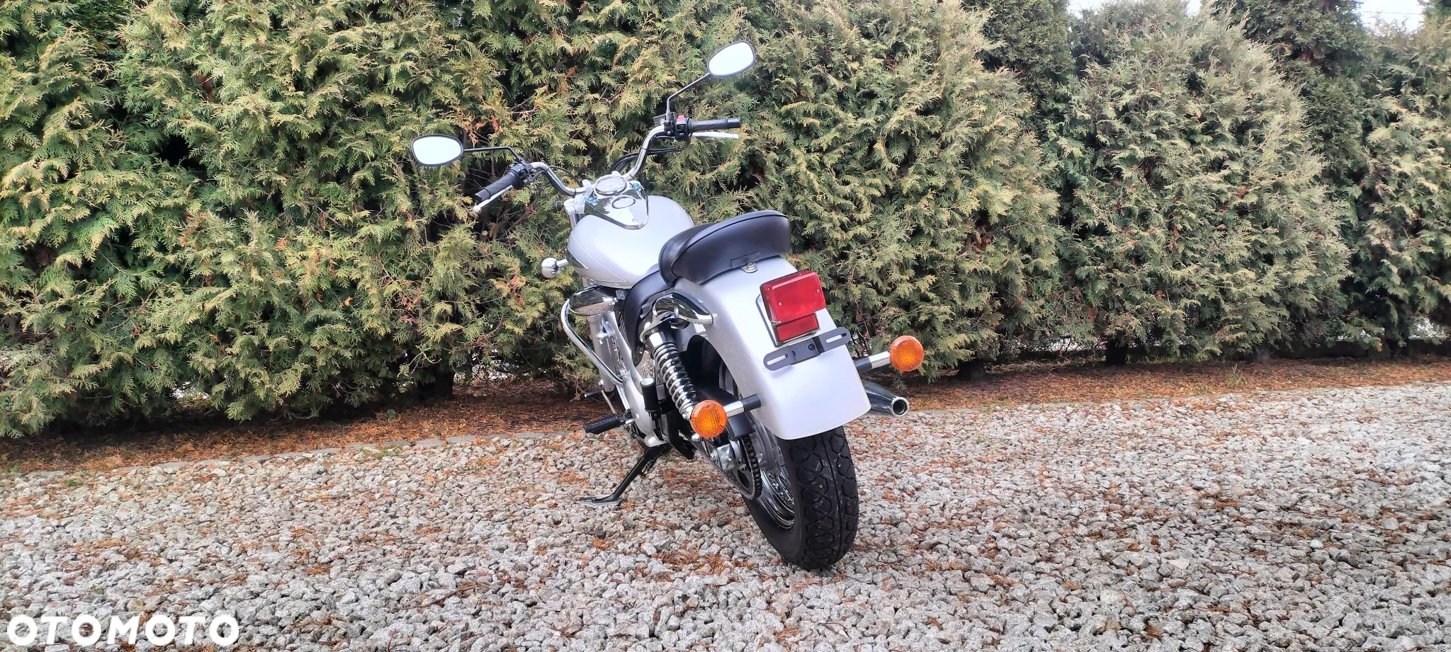 Suzuki Intruder - 6