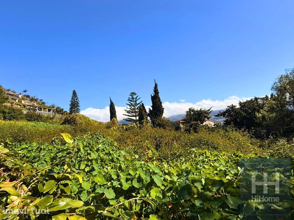 Terreno com 1.607 m2 para construção no Funchal - Grande imagem: 5/14