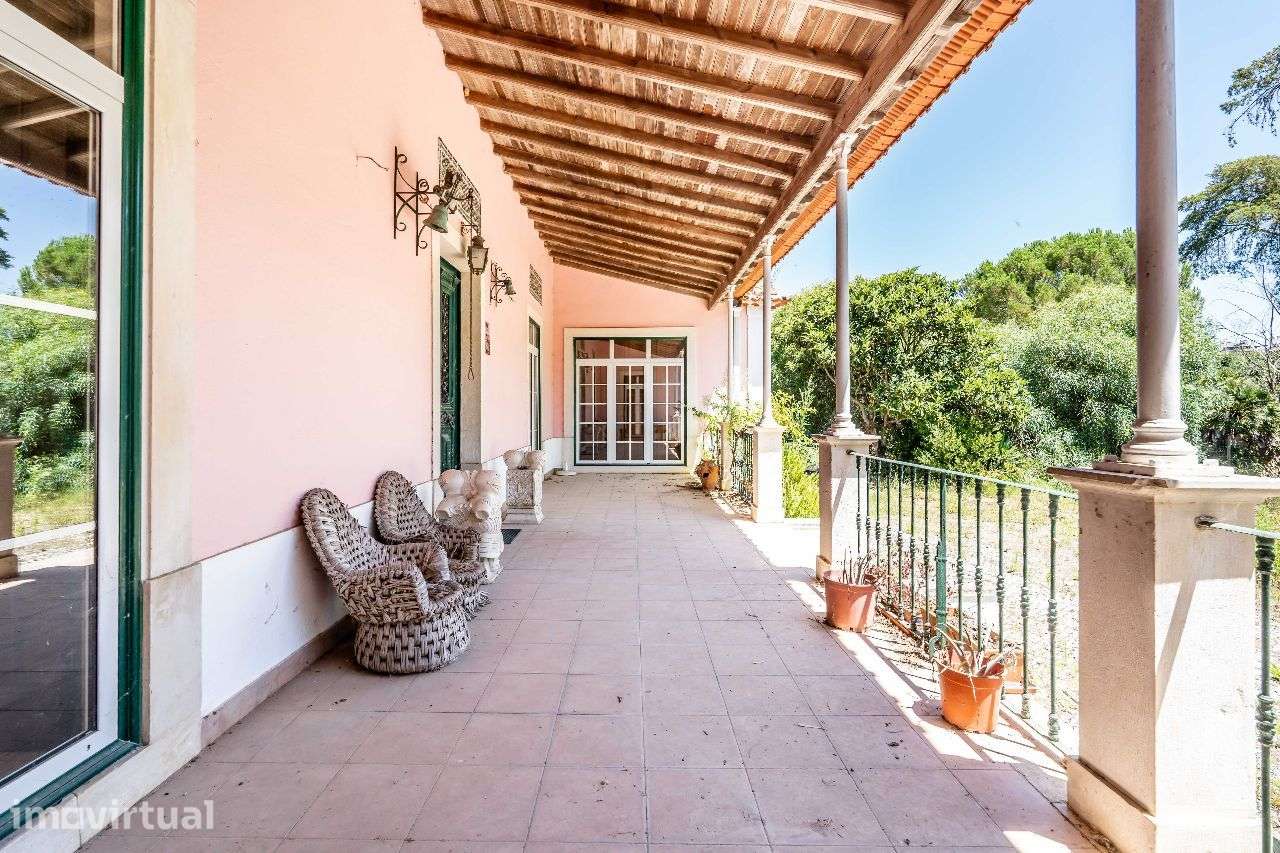 Quinta Histórica em Santarém com 539.460 m² - Grande imagem: 3/53