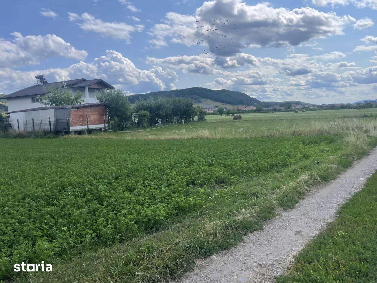 Oportunitate teren Intravilan-900mp- Aerodrom--Teraplast Arena- 5500 e - Imagine principală: 3/4